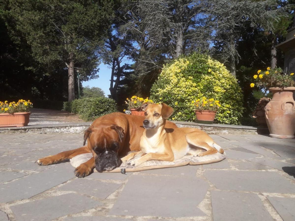 Villa Casal Ponziani Per Civita E Dintorni à Bagnoregio Extérieur photo